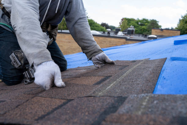 Best Flat Roof Repair Services  in Pineville, NC
